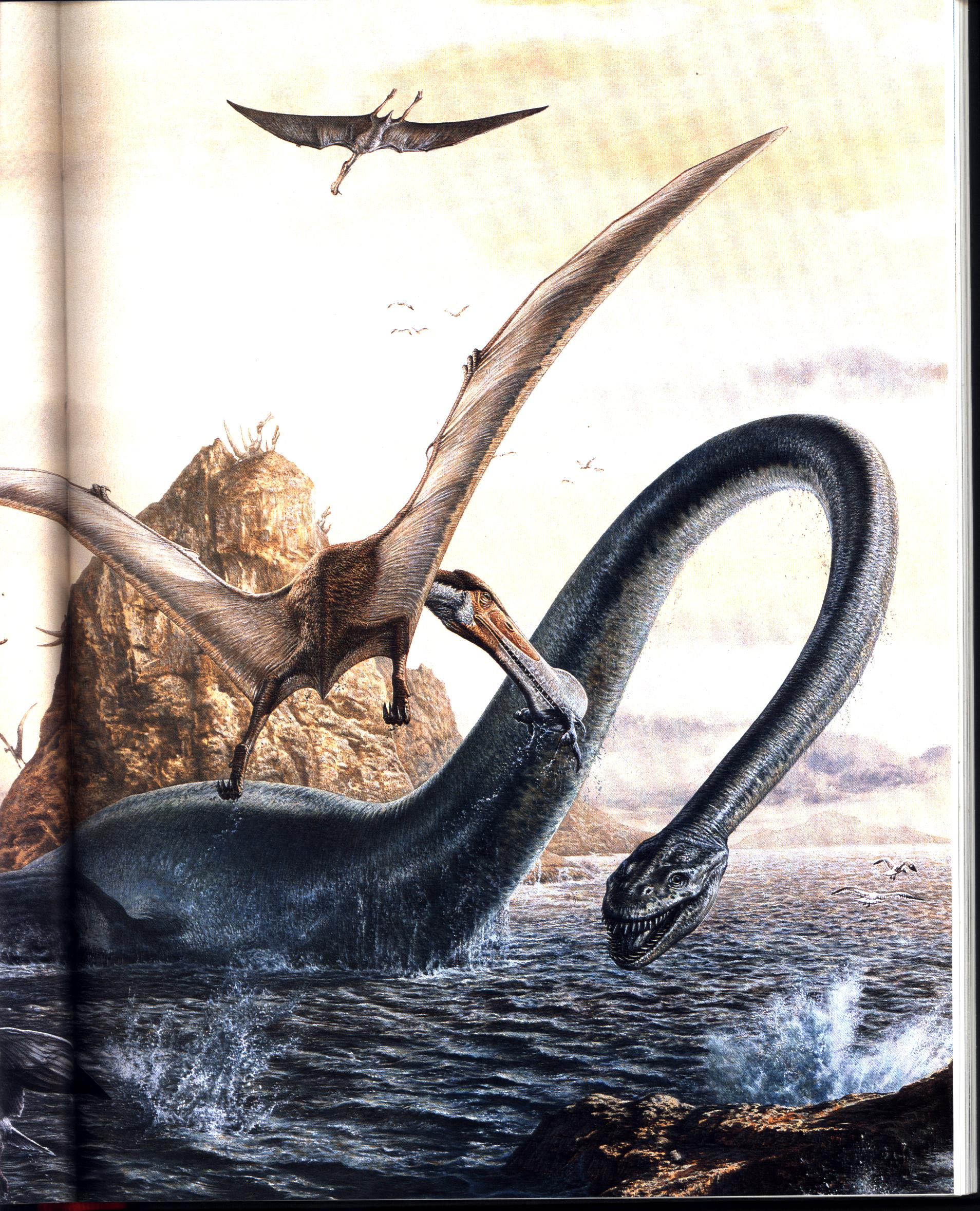 PREHISTORIC LIFE: the rise of the vertebrates. macm8538j